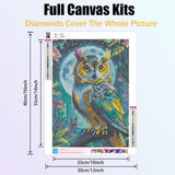 Ycydilirab Owl Diamond Art Kits for Adults- 5D Diamond Painting for Adults Owls, DIY Gem Painting Perfect for Gifts and Home Wall Decor 12x16inch Ycydilirab