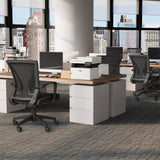 Furmax Office Chair Mid Back Swivel Lumbar Support Desk Chair, Computer Ergonomic Mesh Chair with Armrest (Black) Furmax