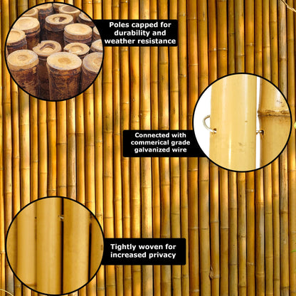 Backyard X-Scapes Natural Bamboo Fencing Decorative Rolled Fence Panel 1 in D x 6 ft H x 8 ft L