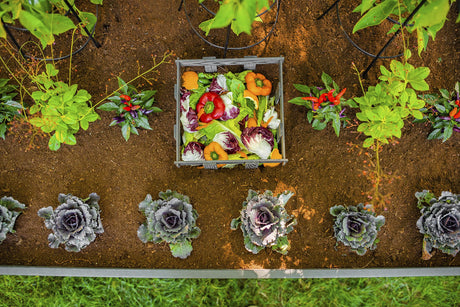 Vita Urbana 3 Foot x 5 Foot Embossed Vinyl Keyhole Garden with Composting Basket, Slate Grey, Gray, PVC, BPA and Pthalate Free, Woodgrain, VT17602 Vita