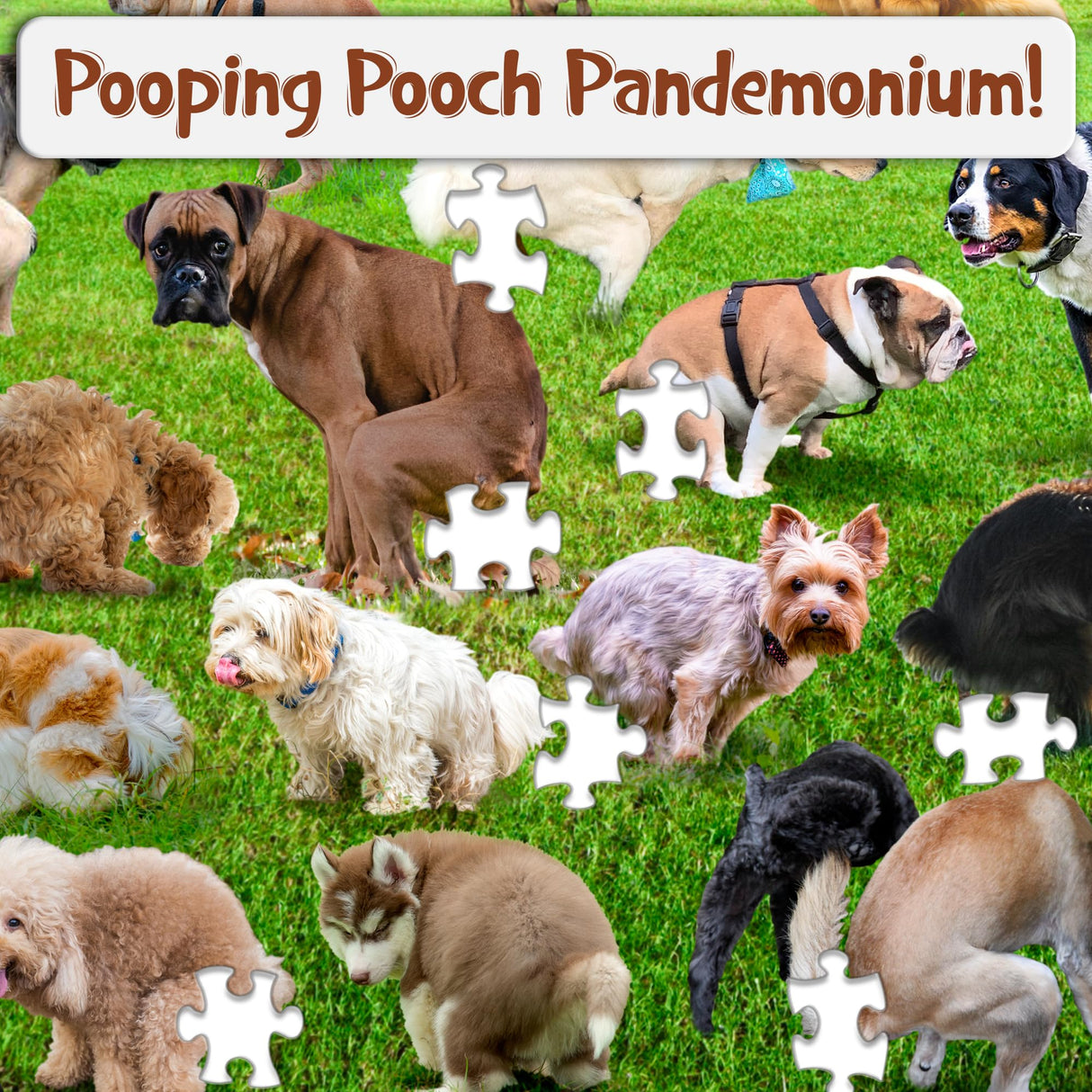 Funwares Original 101 Pooping Puppies Puzzle - Hilarious Jigsaw Puzzle - Perfect White Elephant Gag Gift - Funny Dog Pooping Puzzle for Adults and Kids! 1000 Piece Puzzle! Funwares