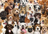 PETER PAUPER PRESS All The Dogs 500 Piece Jigsaw Puzzle PETER PAUPER PRESS