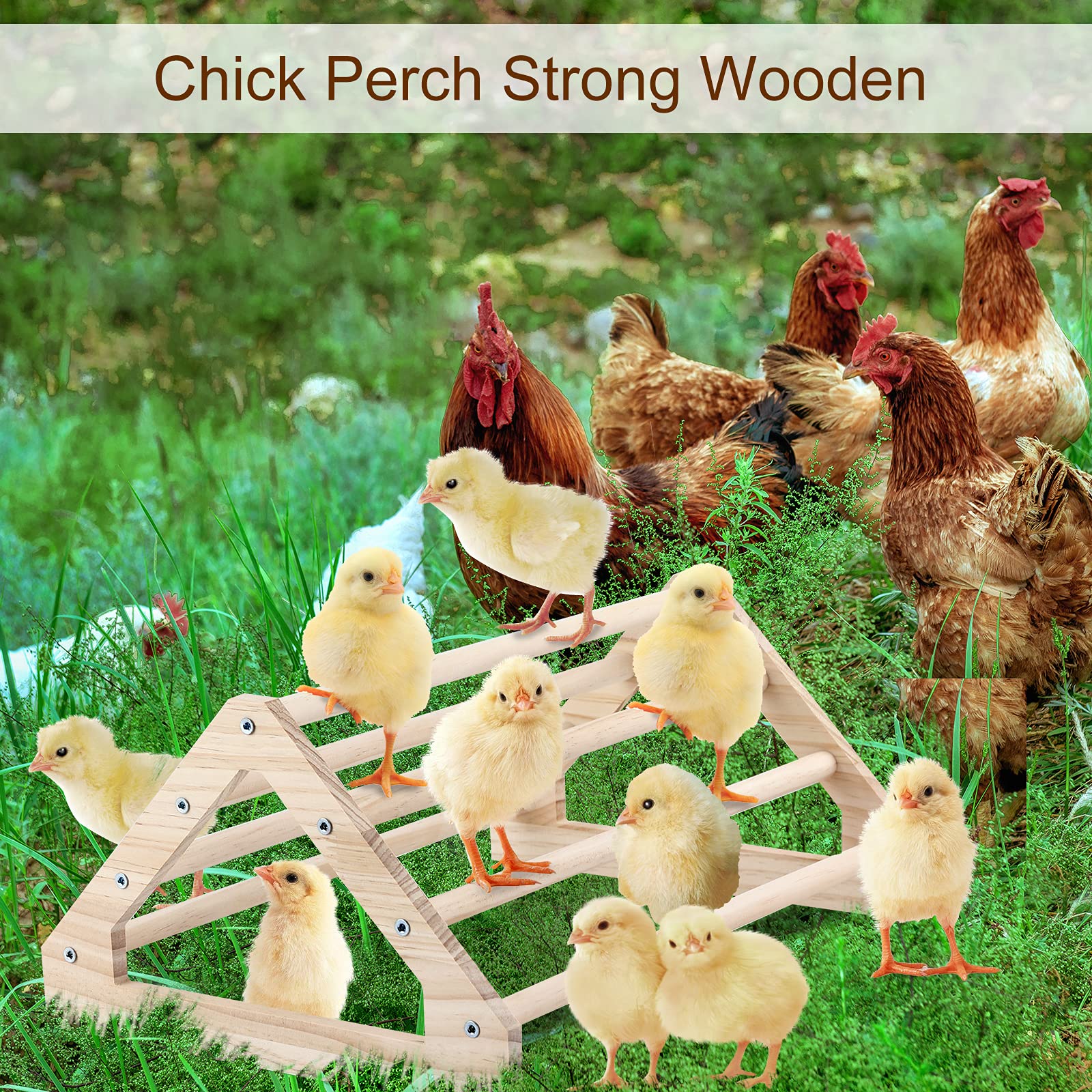 GINTUTO Chicken Perch Strong Pine Wooden Chick Jungle Gym Roosting Bar, Chick Perch Toys for Coop and Brooder for Large Bird Baby Chicks Parrot Hens (Large) - WoodArtSupply