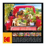 RoseArt - Kodak Premium - Stowaways - 1000 Piece Jigsaw Puzzle for Adults RoseArt