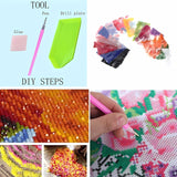 IREDLII Adult Diamond Painting Kit, College Ball Field 5D Diamond Art Kit for Beginners DIY Full Diamond Diamond Dots Crystal Craft Kit for Home Wall Decor Gifts 16x20 inches IREDLII