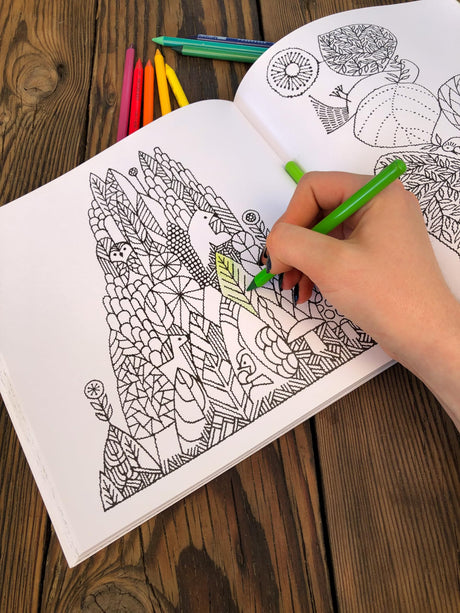 Woodland Kingdom Coloring Book: 65+ Whimsical Designs for Creativity & Relaxation (Coloring Art) C&T Publishing