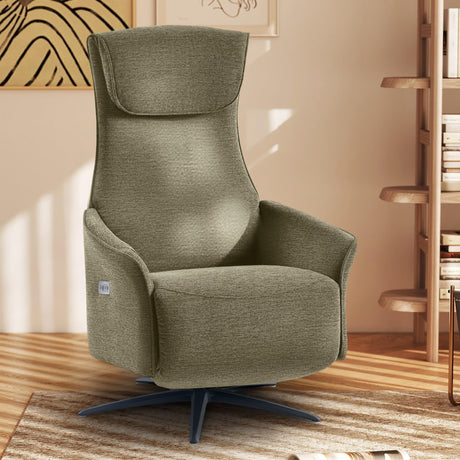 Jocisland Dual Motor Power Recliner Chairs for Adults, 270° Swivel Accent Chair for Living Room, Adjustable Back & Footrest, Air Massage, USB & Type-C, Linen Green Jocisland