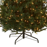 National Tree Company Pre-Lit 'Feel Real' Artificial Slim Christmas Tree, Green, Tiffany Fir, White Lights, Includes Stand, 9 Feet National Tree Company