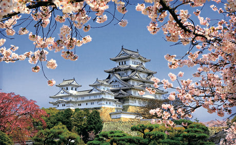 Pintoo Jigsaw Puzzles 1000 Piece for Adults - Himeji-jo Castle in Spring Cherry Blossoms Beautiful Plastic Puzzle for Home Decor Zero Dust Easy Storage [H1436] Pintoo
