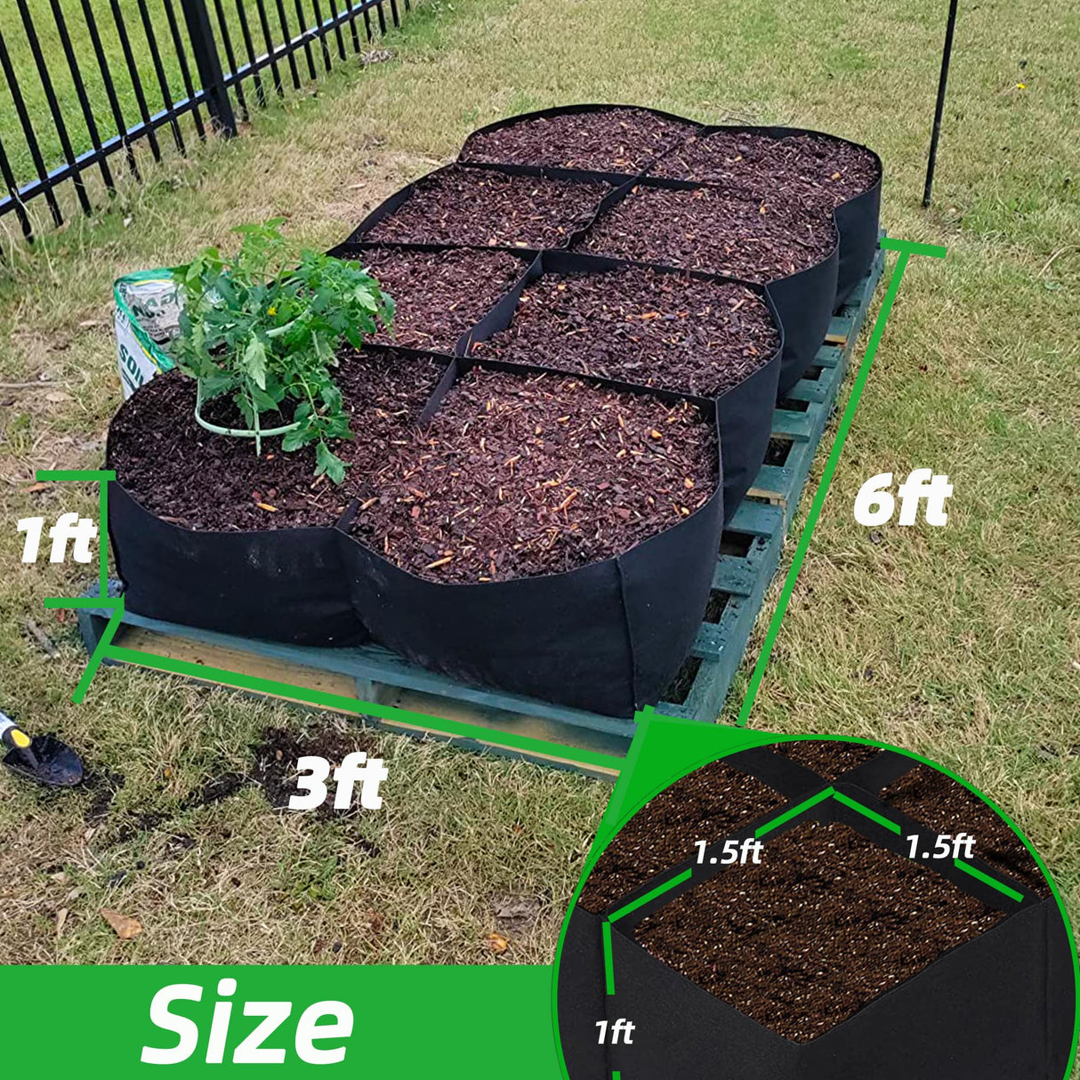 CJGQ 2 Pack Fabric Raised Garden Bed 6x3x1ft Garden Grow Bed Bags for Growing Herbs, Flowers and Vegetables 128 Gallon… CJGQ