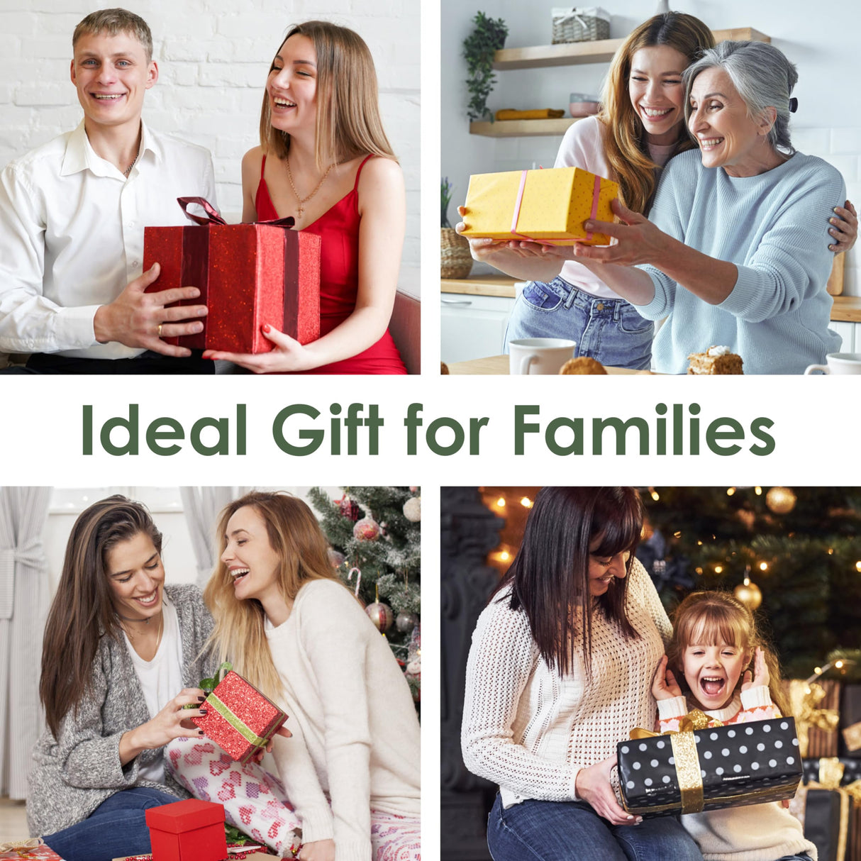 Birdkiss Smart Bird Houses for Outside Solar Powered, 1080P HD Live View Birdhouse with Camera, Perfect Viewing Bird Nesting and Hatching, Ideal Outdoors Bird House for Blue Bird and Cardinal (Black) Birdkiss