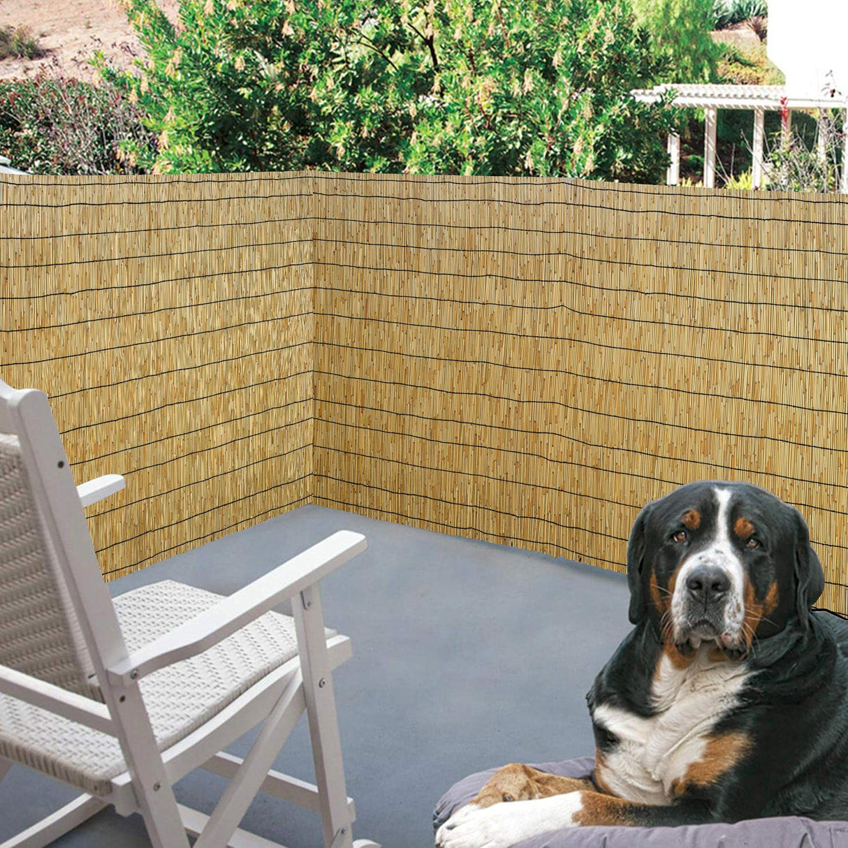 DearHouse Natural Reed Fencing, Eco-Friendly Reed Fence, 3.3 feet High x 13.3 feet Long, Reed Screen for Garden, Privacy DearHouse