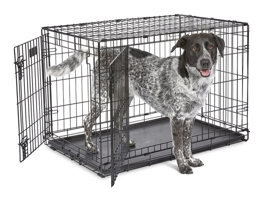 MidWest Homes for Pets Newly Enhanced Double Door iCrate Dog Crate, Includes Leak-Proof Pan, Floor Protecting Feet, Divider Panel & New Patented Features