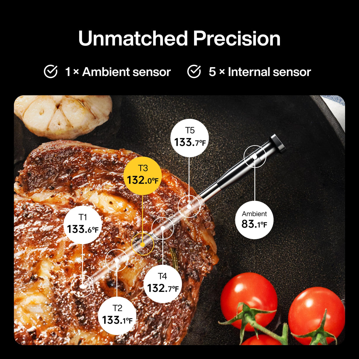 Typhur Sync One Smart Wireless Meat Thermometer: Standalone Base with LCD Display, Unlimited WiFi & Bluetooth Range, Enhanced Signal Stability for BBQ, Grill, Oven, and Smoker Typhur