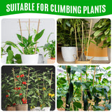 SWANGSA 6 Pack Bamboo Trellis 24 Inches for Climbing Plants, Fan-Shaped Bamboo Plant Trellis Cucumber Tomato Trellis with 50pcs Twist Ties for Outdoor and Indoor Potted Plants SWANGSA