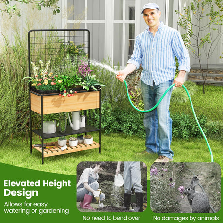 HAPPYGRILL Outdoor Raised Garden Bed, 59” Wooden Elevated Planter Box w/Open Storage Shelves, Removable Grid Divider, Drain Holes & Black Liner, Raised Garden Bed w/Legs & Trellis for Vegetables HAPPYGRILL