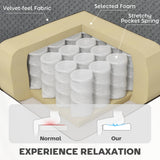 HOMCOM Recliner Chair with Vibration Massage and Heat, Oversized Swivel Rocker Single Sofa with Footrest, Remote and Side Pockets, Velvet Fabric Manual Reclining Chair for Living Room, Gray HOMCOM