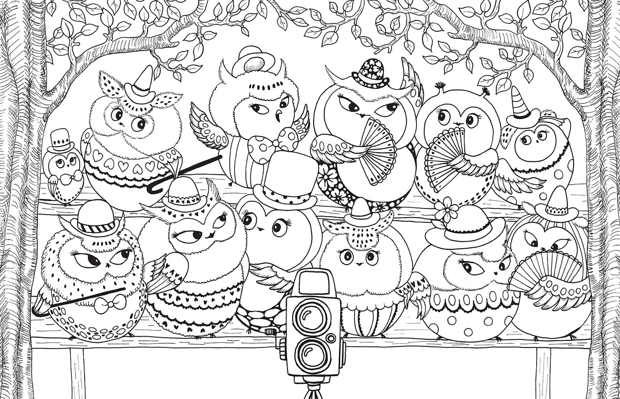 A Million Owls: Fine Feathered Friends to Color (Volume 5) (A Million Creatures to Color) Union Square Kids