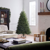 National Tree Company Artificial Full Christmas Tree, Green, Dunhill Fir, Includes Stand, 6 Feet National Tree Company