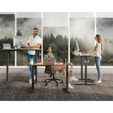 Gamork Electric Standing Desk Adjustable Height Stand Up Desk Ergonomic Sit Stand Desk for for Work Office Home Computer Desk Workstation (Rustic Brown C65, 48 * 24) Gamork