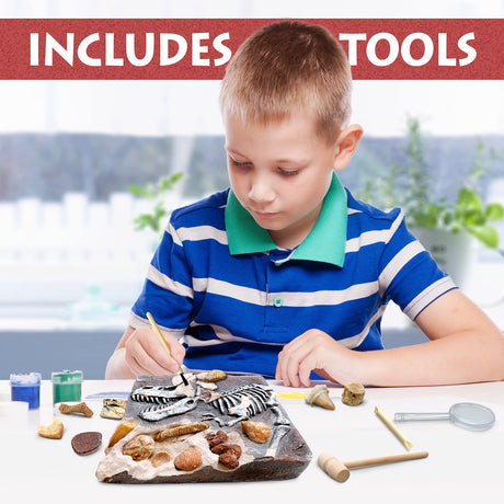 DANCING BEAR Fossil Dig Kit, Excavate 15 Prehistoric Fossils Including Real Dinosaur Bones and Shark Teeth, Paleontology STEM Education for Kids, Fun Science Activity Gift Sets for Girls and Boys DANCING BEAR