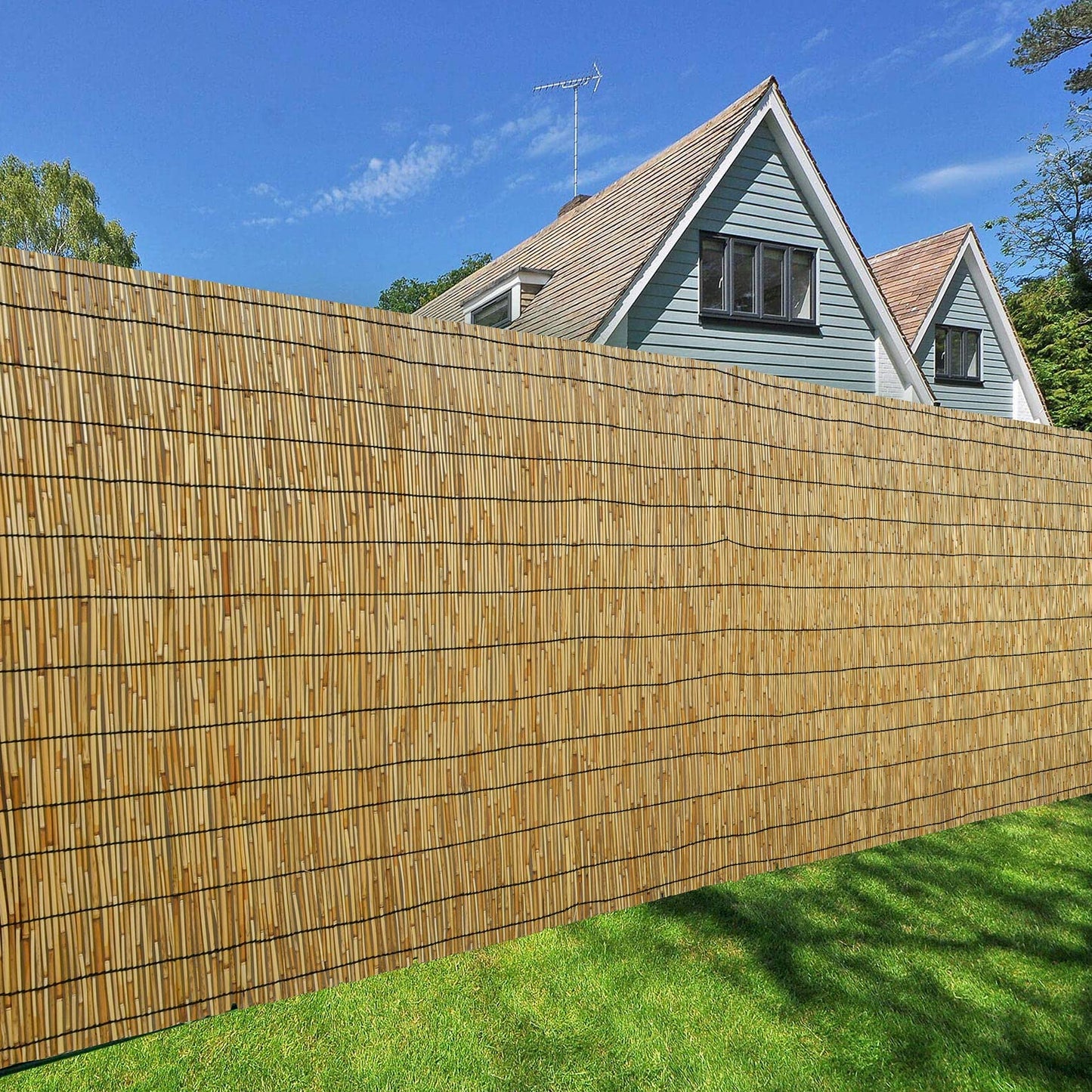 DearHouse Natural Reed Fencing, Eco-Friendly Reed Fence, 3.3 feet High x 13.3 feet Long, Reed Screen for Garden, Privacy