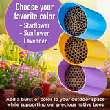 Rivajam Color Splash Mason Bee House - Vibrant & Strong Waterproof Bee Hotel & Insect Habitat - Mason Bee Tubes Filled Bee Houses for The Garden - Pollinator House Bug Hotel Gardening Gifts Rivajam