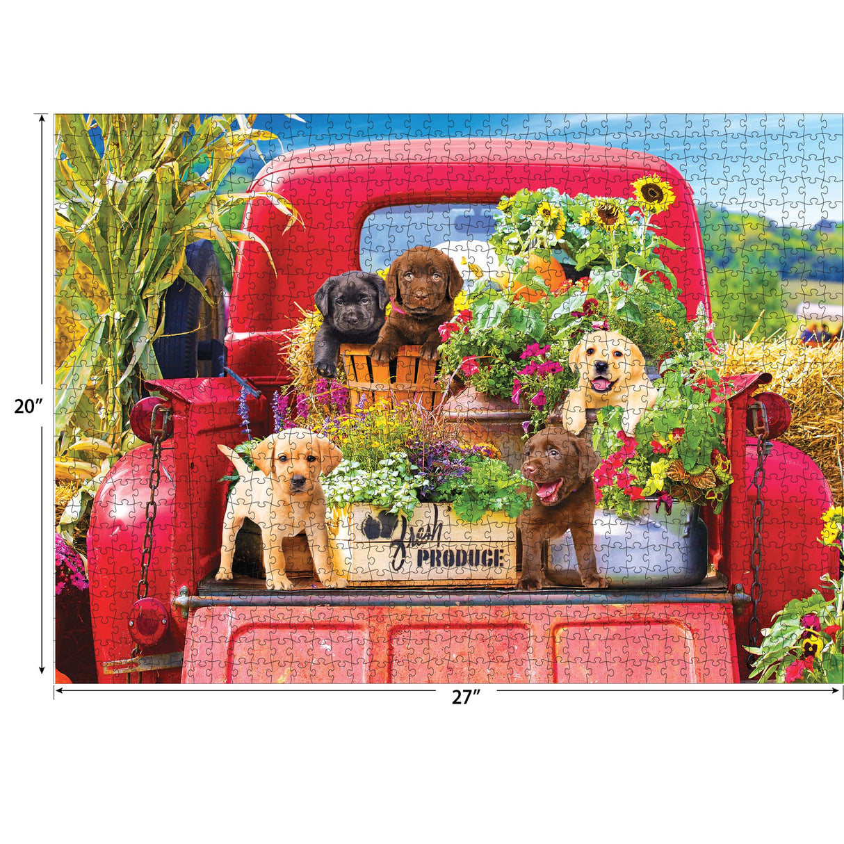 RoseArt - Kodak Premium - Stowaways - 1000 Piece Jigsaw Puzzle for Adults RoseArt