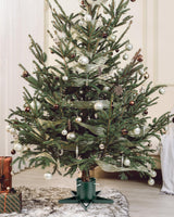 Christmas Tree Stand for 6ft Real Tree Green Christmas Tree Holder for Holiday Home Party Christmas Tree Decorations Fits Up to 4.7" Live Xmas Tree Trunks Tree Nest