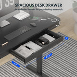 FLEXISPOT Comhar Electric Standing Desk with Drawer Desktop & Adjustable Frame Quick Install w/USB Charge Ports (Black, Wood) FLEXISPOT