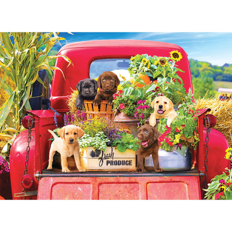 RoseArt - Kodak Premium - Stowaways - 1000 Piece Jigsaw Puzzle for Adults RoseArt