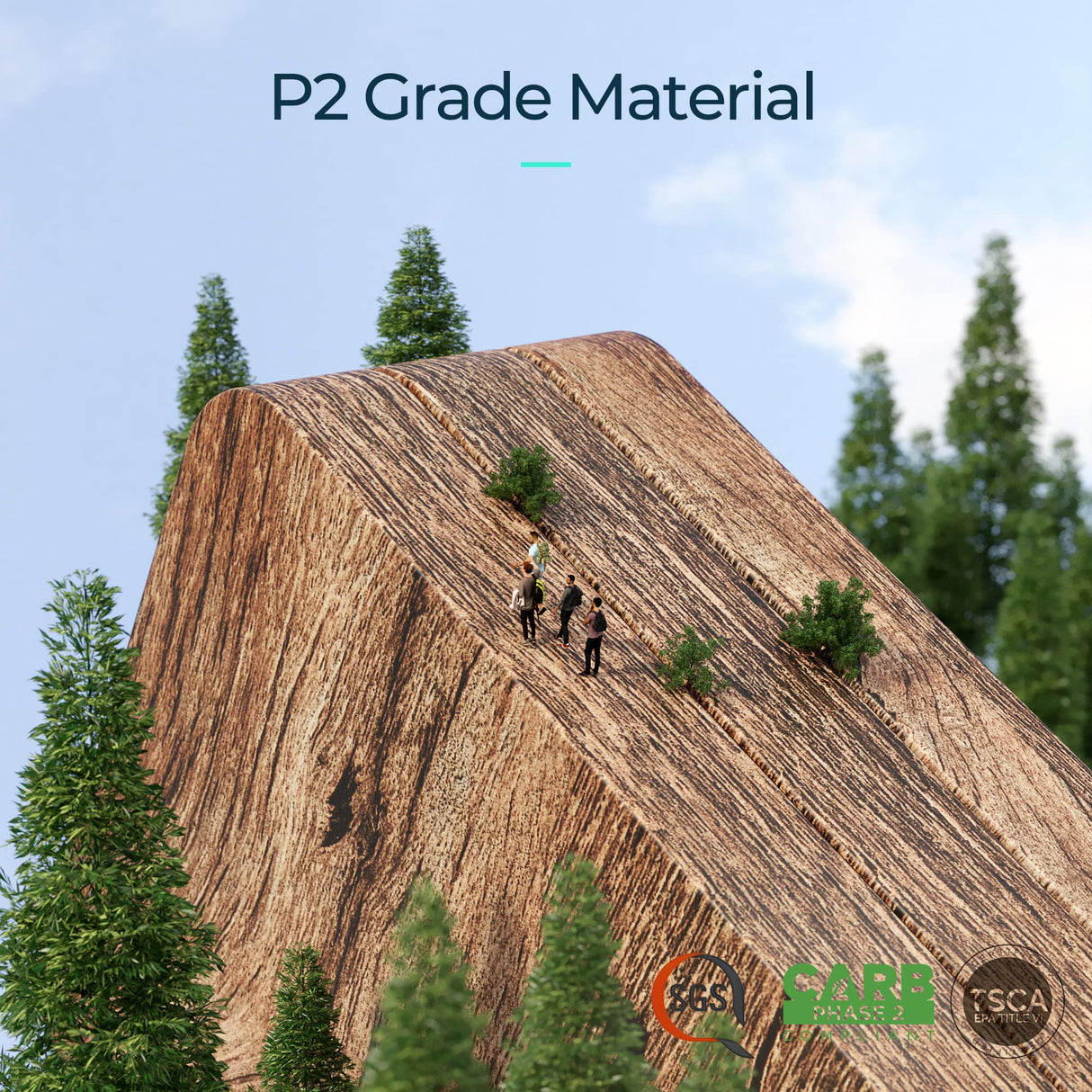 LINSY HOME 5-Tier Adjustable Dark Brown Bookcase for Stylish Home Storage LINSY HOME