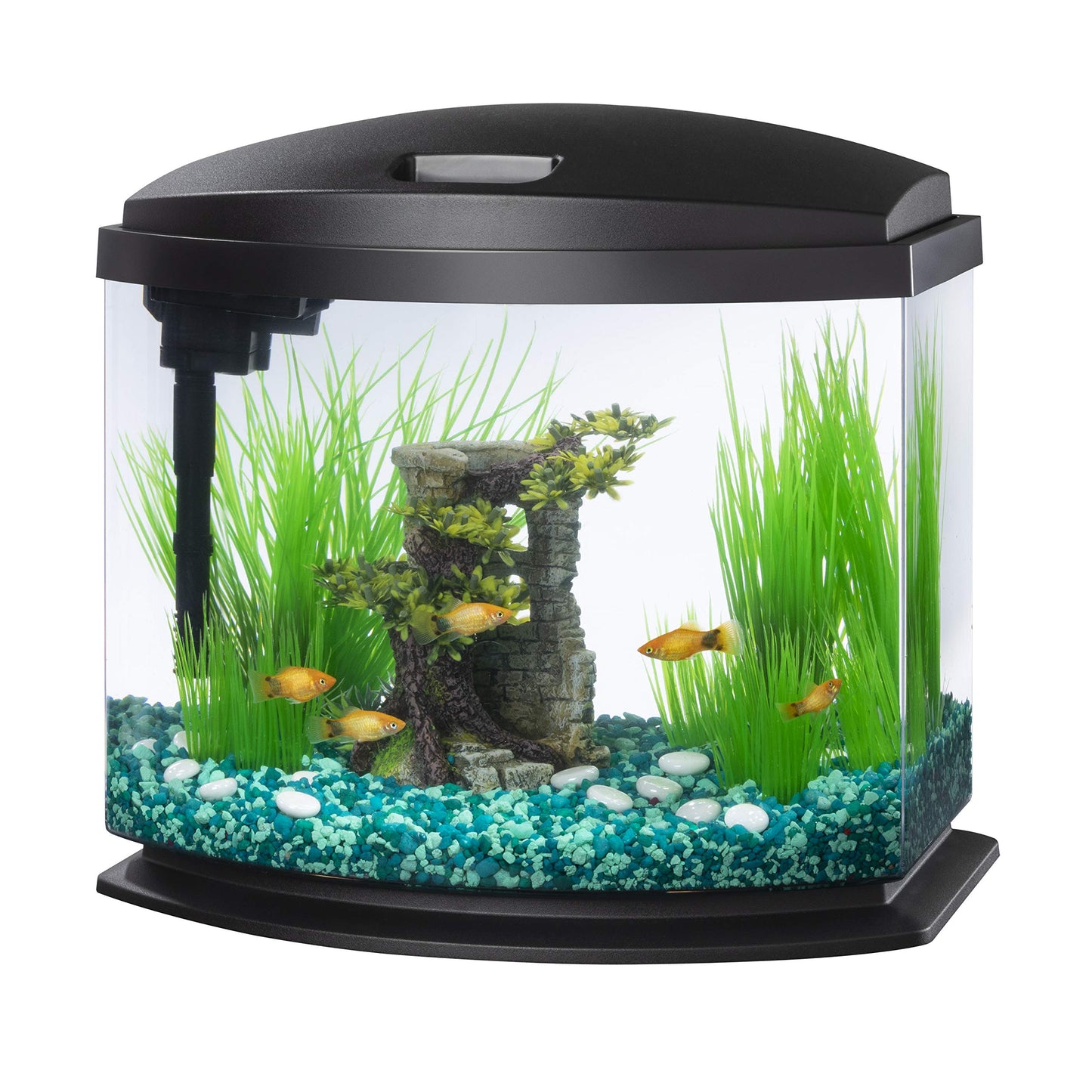 Aqueon LED MiniBow Small Aquarium Fish Tank Kit with SmartClean Technology, Black, 5 Gallon - WoodArtSupply