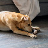 Petstages Dogwood Wood Durable Dog Chew Toys, Real Wood & Calming Hemp, 2-Pack, Medium Outward Hound