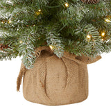 National Tree Company Pre-lit Artificial Mini Christmas Tree | Includes Small White LED Lights, and Cloth Bag Base | Snowy Concolor Fir - 2 ft National Tree Company
