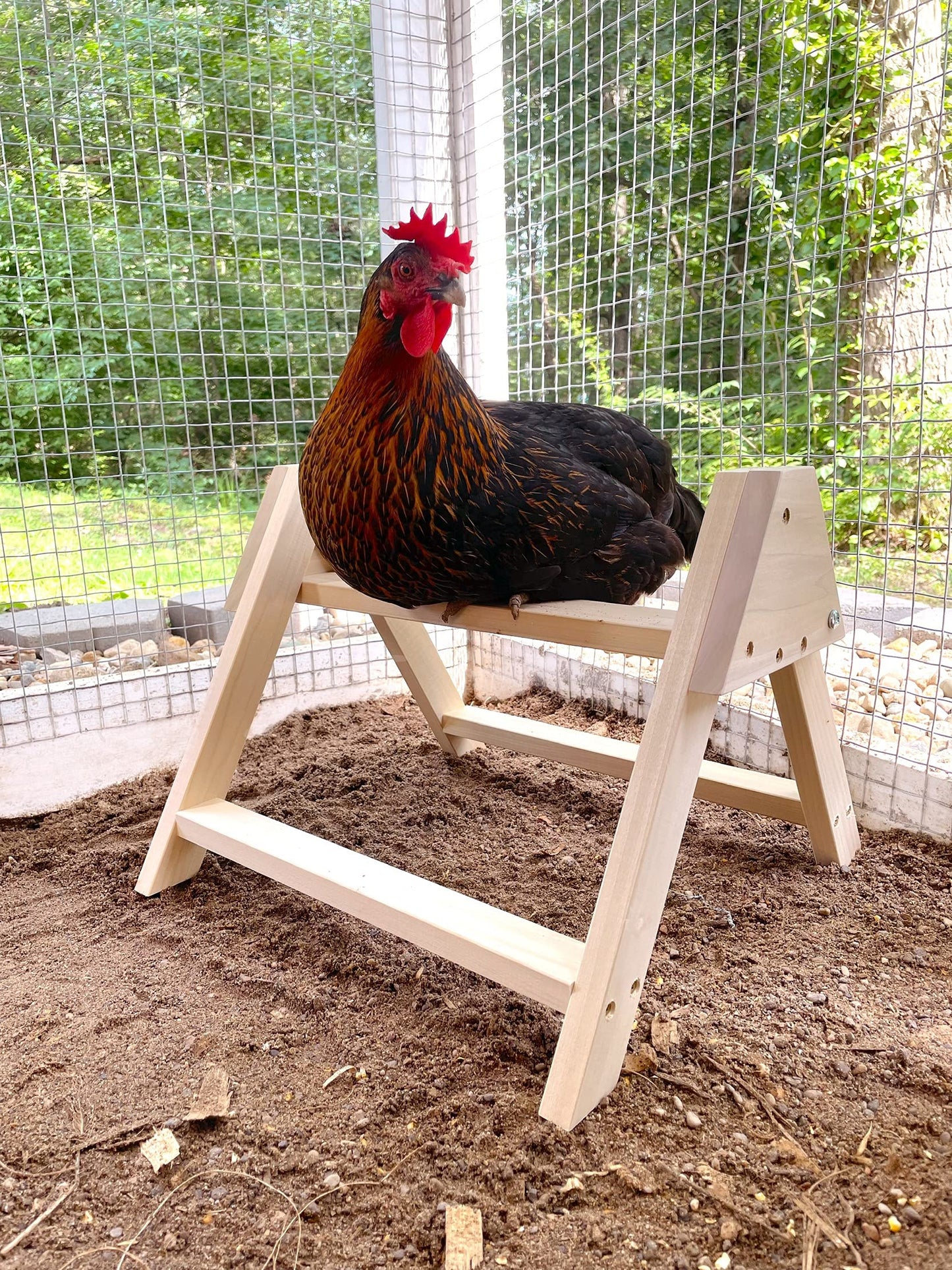 Chicken Roosting Perch Bird Stand Made in The USA! Roost Toys and Accessories for Coop Heavy Duty Solid Handcrafted Wood Construction for Birds Hens Chook Pollos Gallinas Chicks