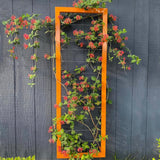 TERRA TRELLIS Ina Modern Wall Trellis for Outdoor Plants | Garden and Home Climbing Vines Wall Trellis | Modern, Steel & Durable | Large (Oxide) Terra Trellis