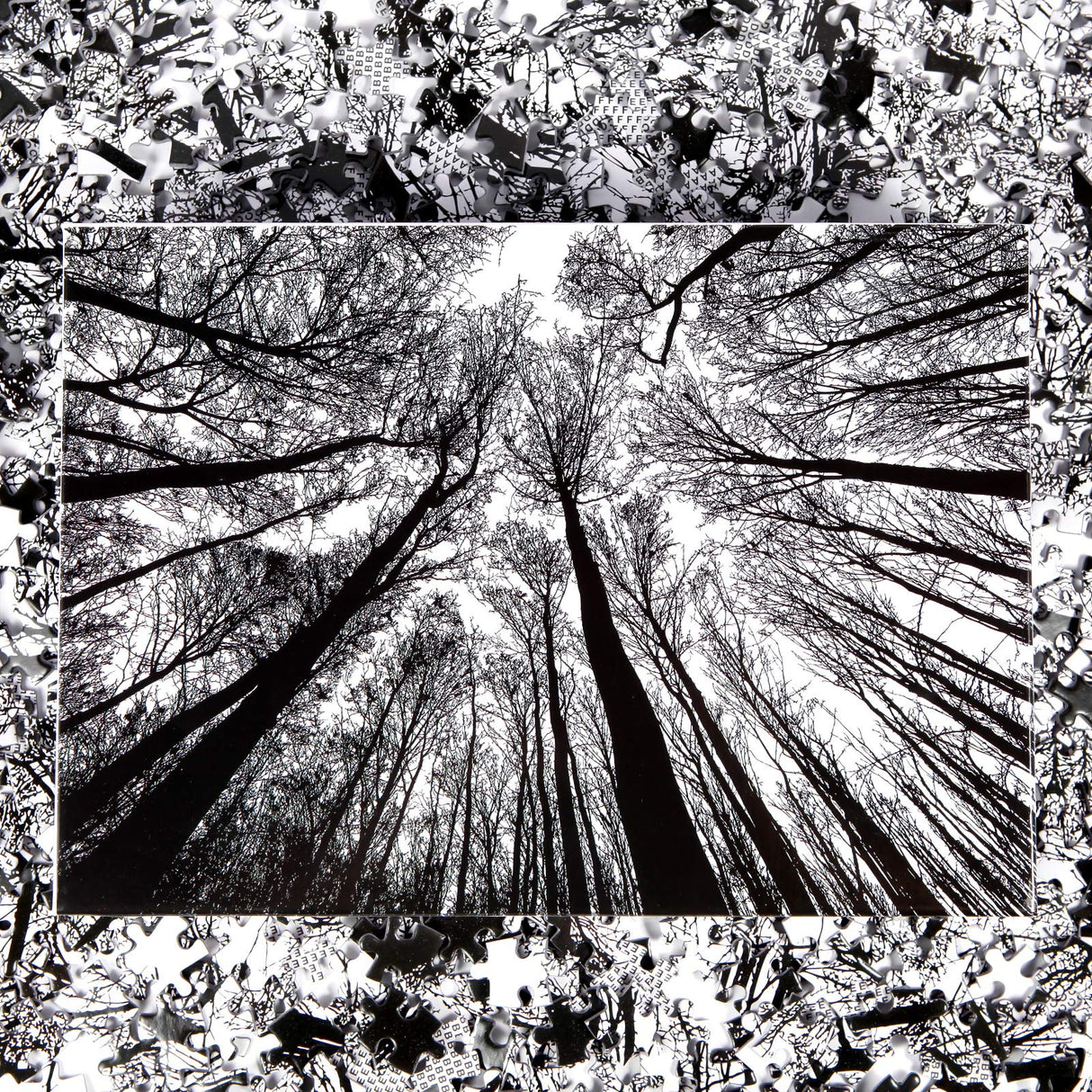 Bgraamiens Puzzle-Forest in Black and White-1000 Pieces Creative Black and White Nature Scenery Hard Puzzle Blue Board Jigsaw Puzzle Bgraamiens