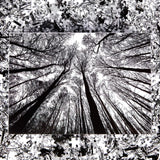 Bgraamiens Puzzle-Forest in Black and White-1000 Pieces Creative Black and White Nature Scenery Hard Puzzle Blue Board Jigsaw Puzzle Bgraamiens