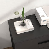 2-Drawer Wood Lateral File Cabinet, Filing Cabinets Anti-Tilt Mechanism for Home Office Storage Organization, Accommodates Letter/A4/Legal Size, New Heightened Drawer Design Home Office (Black) Panana