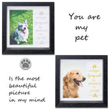 KCRasan Pet Picture Frame - Memorial Frame for Loss of Dog or Cat - Pet Collar Frame Remembrance Sympathy Keepsake KCRasan