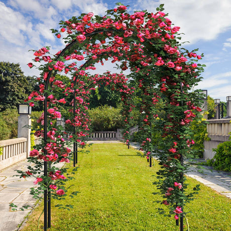 Gisafai 3 Pack Metal Garden Arch Wedding Arches Metal Pergola Arbor 7.9 Ft, Two Way Assemble, Durable Wedding Trellis Archway for Climbing Plants Outdoor Bridal Party Decoration(Black) Gisafai