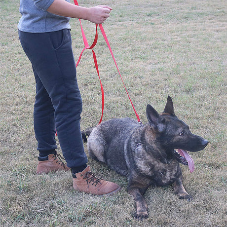 Siumouhoi Dog/Puppy Obedience Recall Training Agility Lead- 15 ft 20 ft 30 ft 40 ft 50 ft Long Leash -for Training Leash, Extended Rope for Training. (20Feet, Black) Siumouhoi
