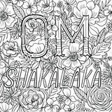 Inner Fucking Peace Adult Coloring Book (31 stress-relieving designs. Micro-perforated pages are easy to remove!) PETER PAUPER PRESS