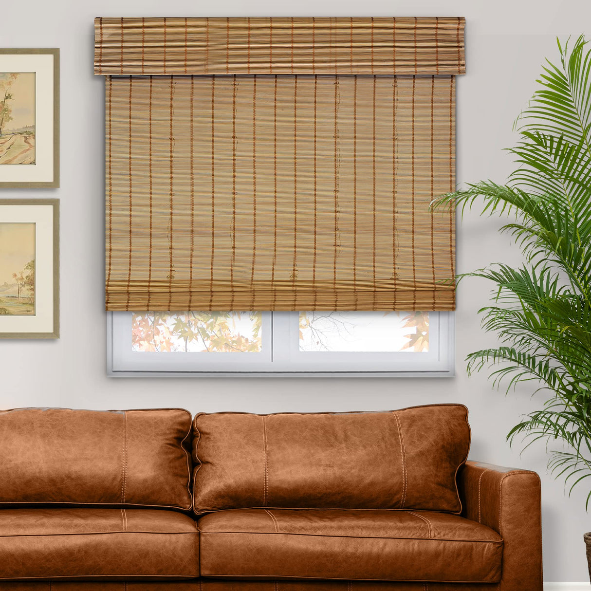 CHICOLOGY Bamboo Roman Shades - Designer Eco-Friendly Light Filtering Window Blinds, Ideal for Home & Patio, Premium Quality, 33" W x 64" H, Butternut CHICOLOGY