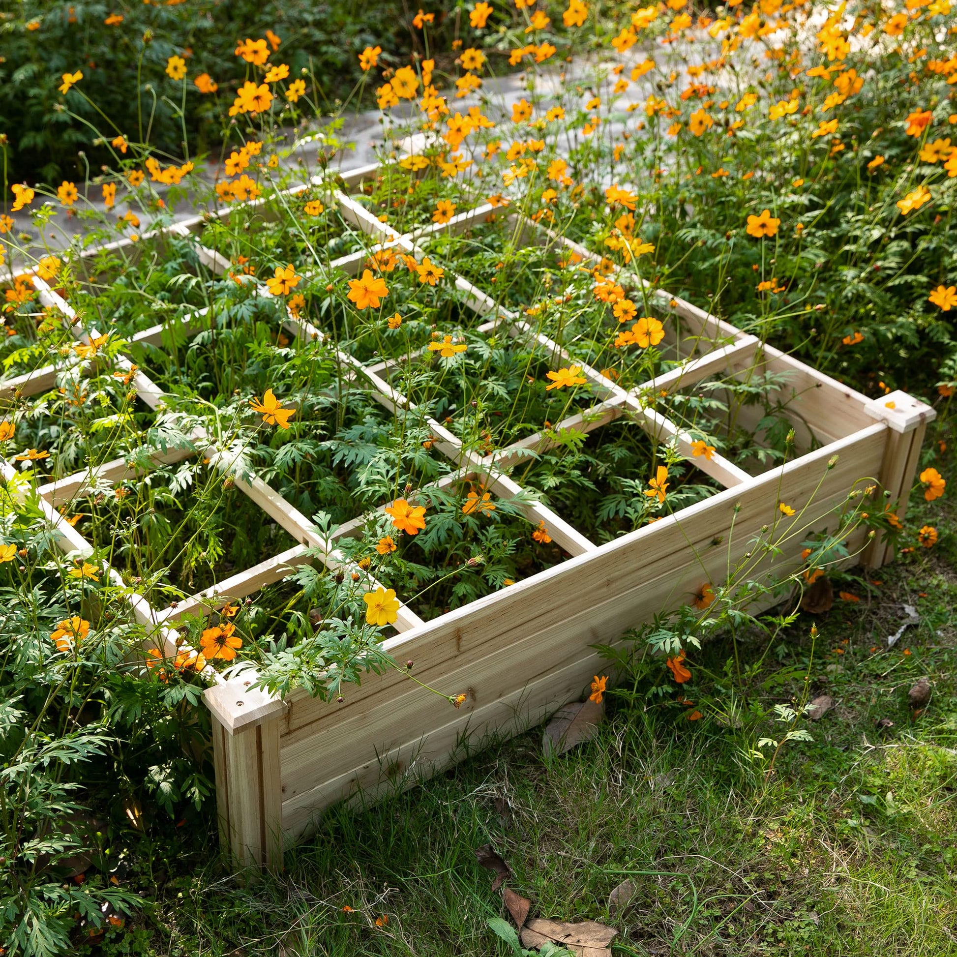 Outsunny Raised Garden Bed Kit, 4' x 4' Outdoor Wooden Planter Box with 9 Growing Grids, for Plants and Herbs - WoodArtSupply