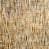 FOREVER BAMBOO Jumbo Reed Bamboo Screen Fencing Privacy Fence Backyard Divider Decorative Reed Garden Fencing, Natural 6 ft H x 16 ft L FOREVER BAMBOO