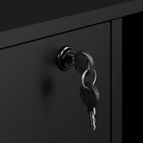 Yaheetech Black File Cabinet Large Mobile Storage Lateral Filing Cabinet with 2 Drawer and 4 Open Compartments,for Letter Size A4 Size, Printer Stand for Home Office, Black Yaheetech