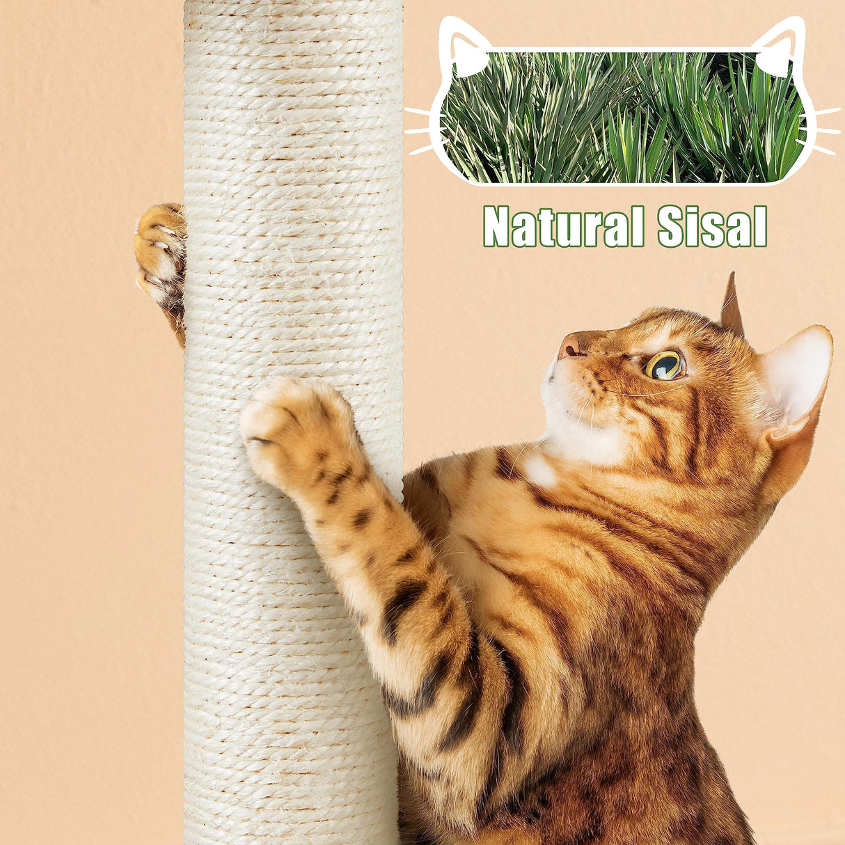 Yaheetech Litter Box Enclosure with Cat Tree, All-in-one Indoor Cat House w/Scratching Posts, Wooden Cat Litter Box Furniture w/Cat Condo, Platform, Rustic Brown/Beige Yaheetech