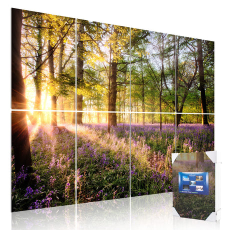 Art Acoustic Panels, 48x32x0.4 Inch, Sound Proofing, Wall Decoration, Suitable for Nature-Inspired Room Soundproofing & Vibrant Aesthetics (Forest Spring), Mollywell Mollywell
